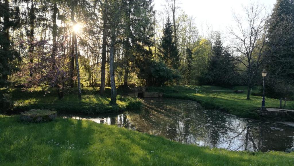 un estanque en un parque con el sol reflejándose en el agua en Le gîte du Val, en Chamouilley