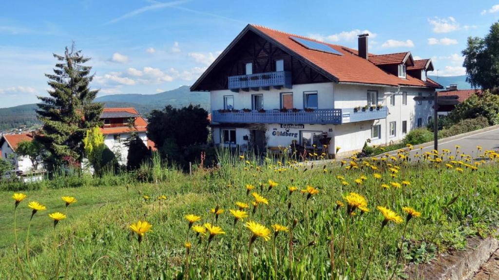 dom na wzgórzu z polem żółtych kwiatów w obiekcie Gästehaus am Goldberg w mieście Riedlhütte