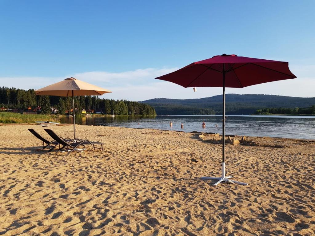 Příroda nedaleko hotelu