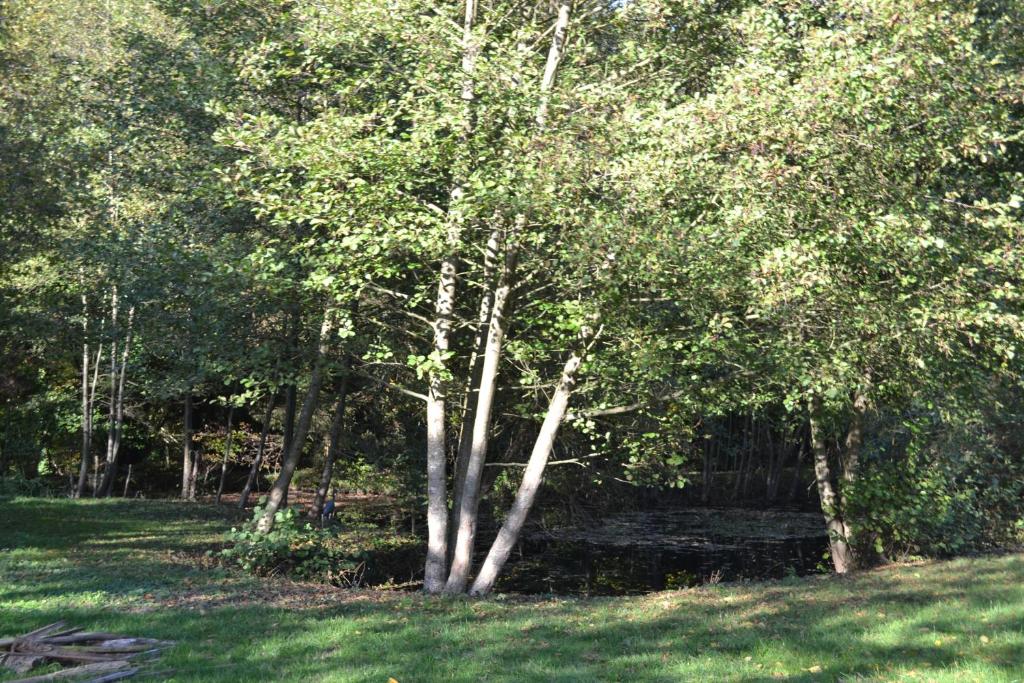 Zahrada ubytování Le Domaine Des Anges, écolodge