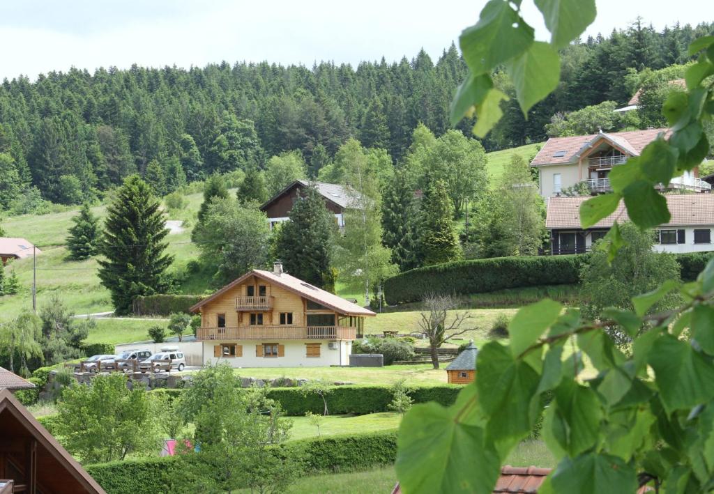 une maison au milieu d'un champ arboré dans l'établissement Chalet centaurée - Rémy HEROLD, à Xonrupt-Longemer