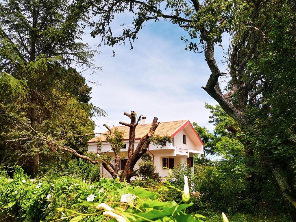 a house in the middle of a yard with trees at Locanda SottoBosco in San Leonardo