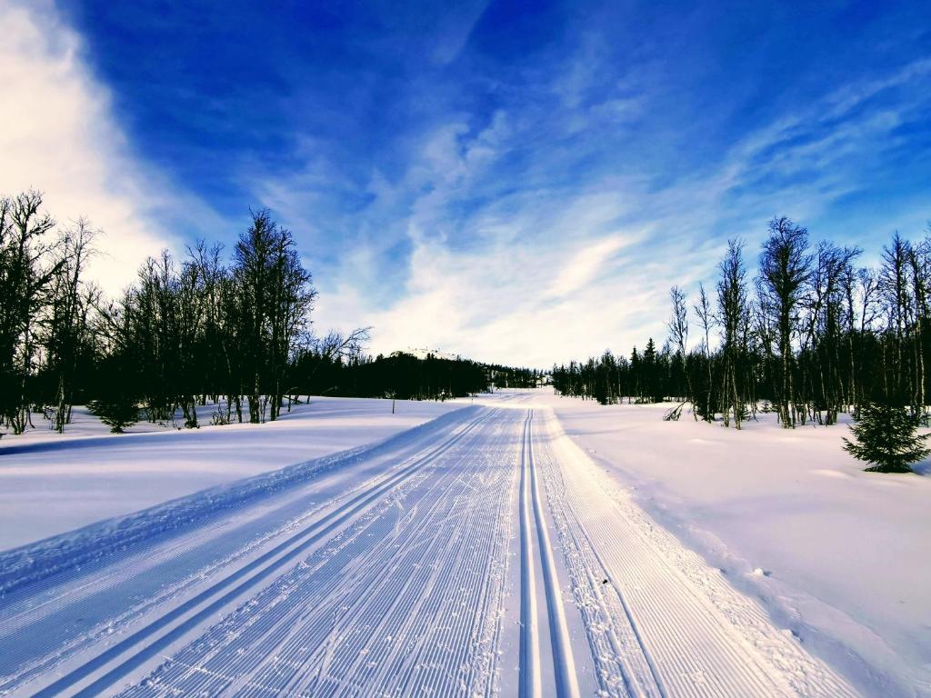 una carretera cubierta de nieve con pistas en la nieve en Ørterstølen Hytter en Gol