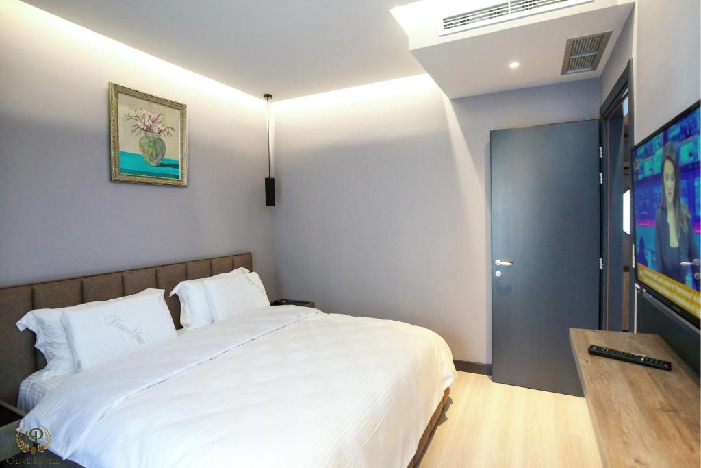 TV a/nebo společenská místnost v ubytování Hotel Olive