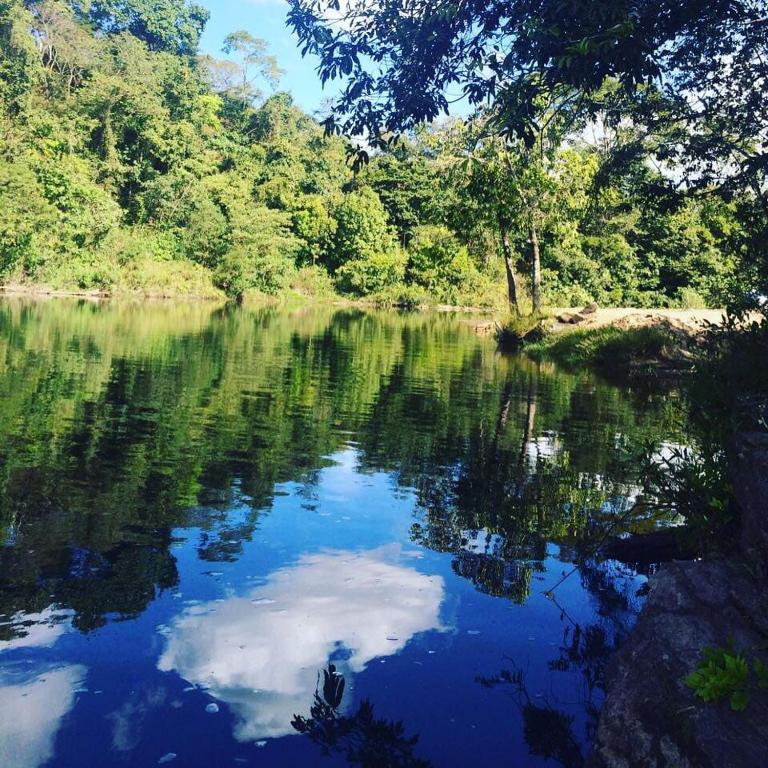  Cachoeira Sonho Verde