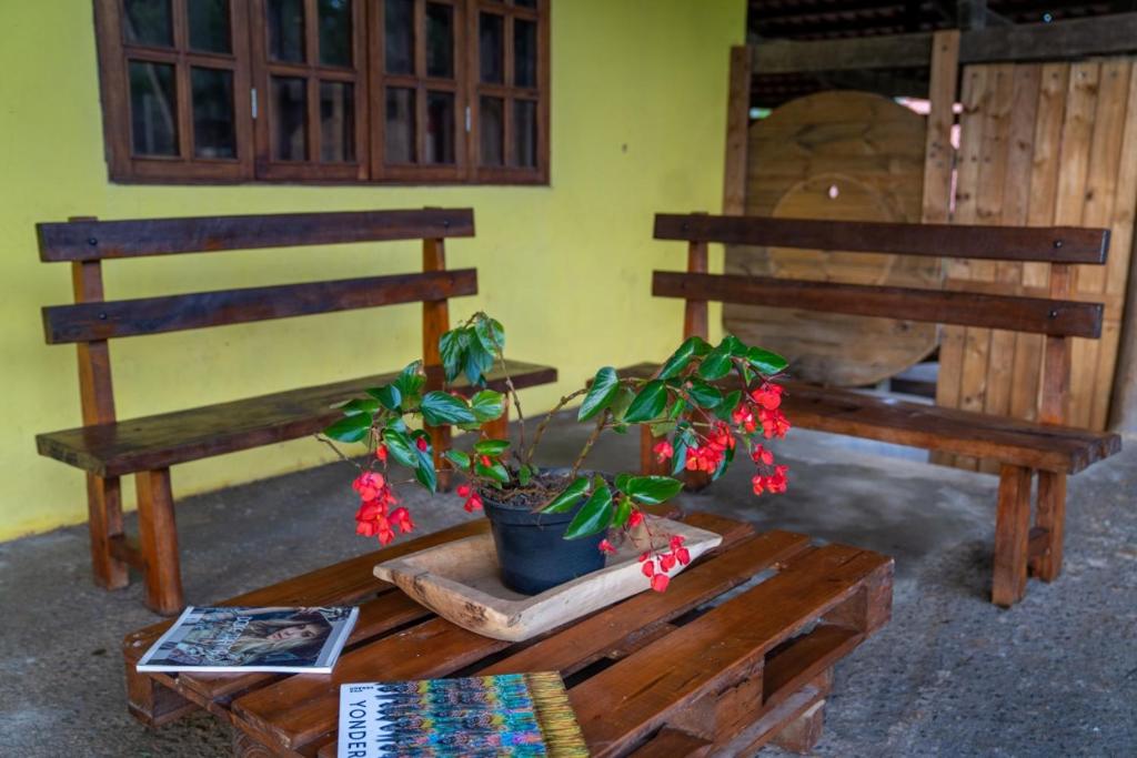  Cachoeira Sonho Verde
