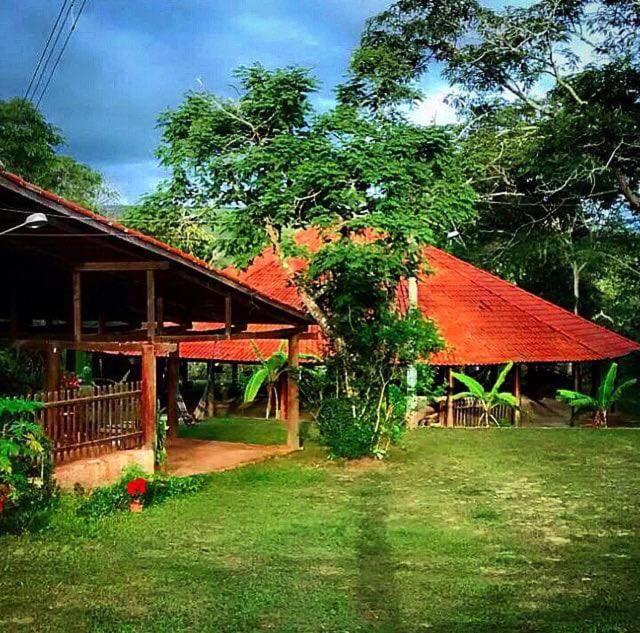 Cachoeira Sonho Verde