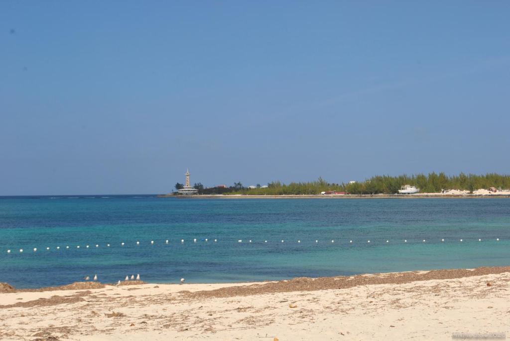 Tropical Hideaway photo