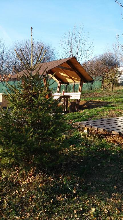 Příroda nedaleko luxury tent