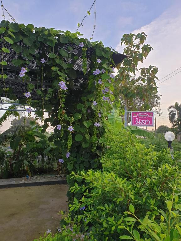 Zahrada ubytování บ้านสวนนิสา