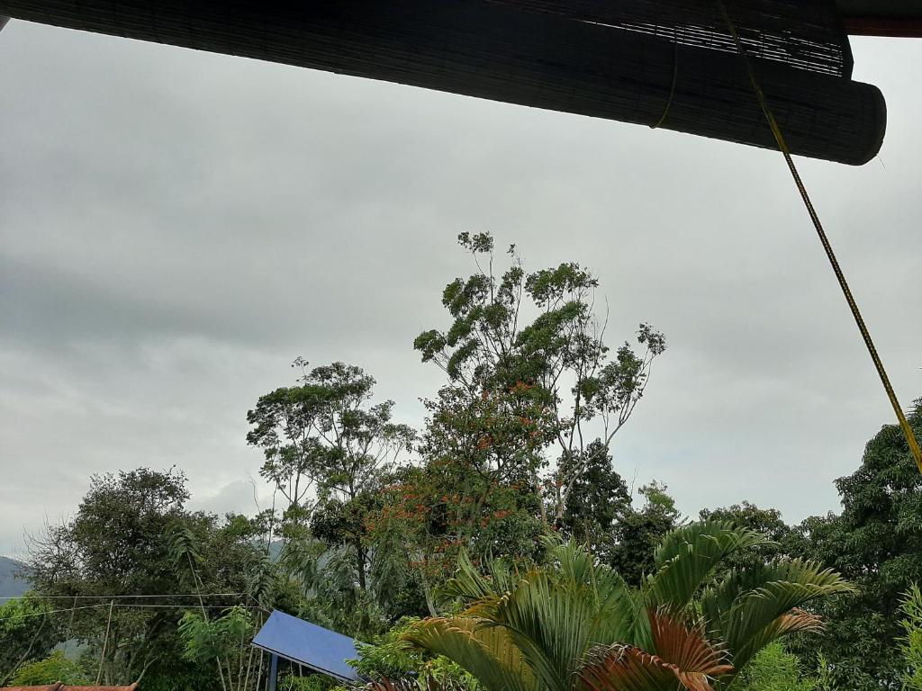 Dhanudi Homestay - 3