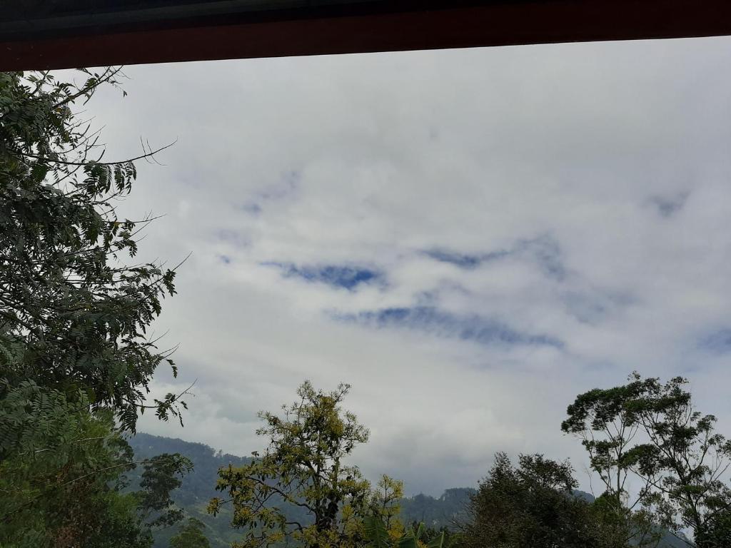 Dhanudi Homestay - 4