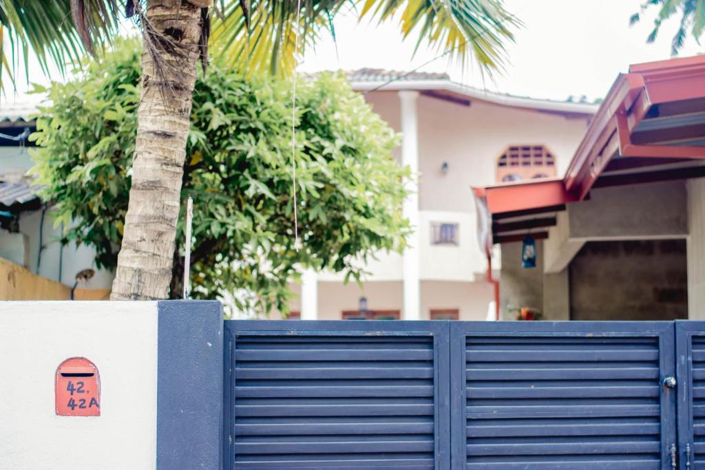 a blue fence with a palm tree in front of a house at 4ty two Homestay Galle in Galle