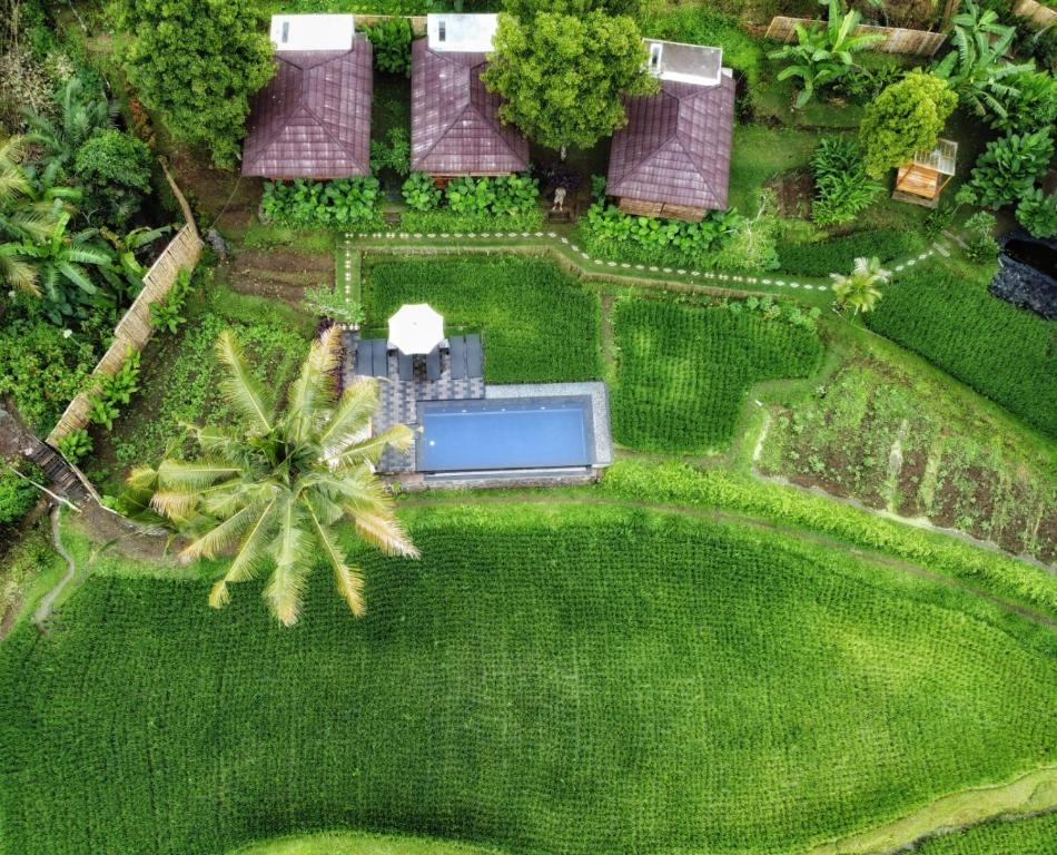 Zahrada ubytování Bali De Pardis Cottage