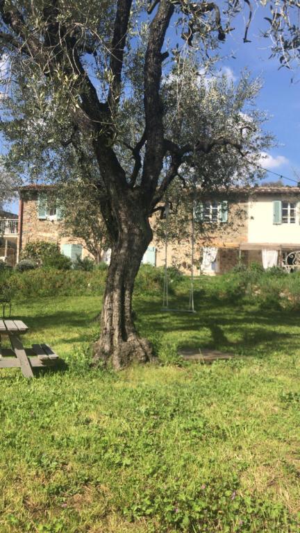 Vonkajšia záhrada v ubytovaní Le Molina B&B