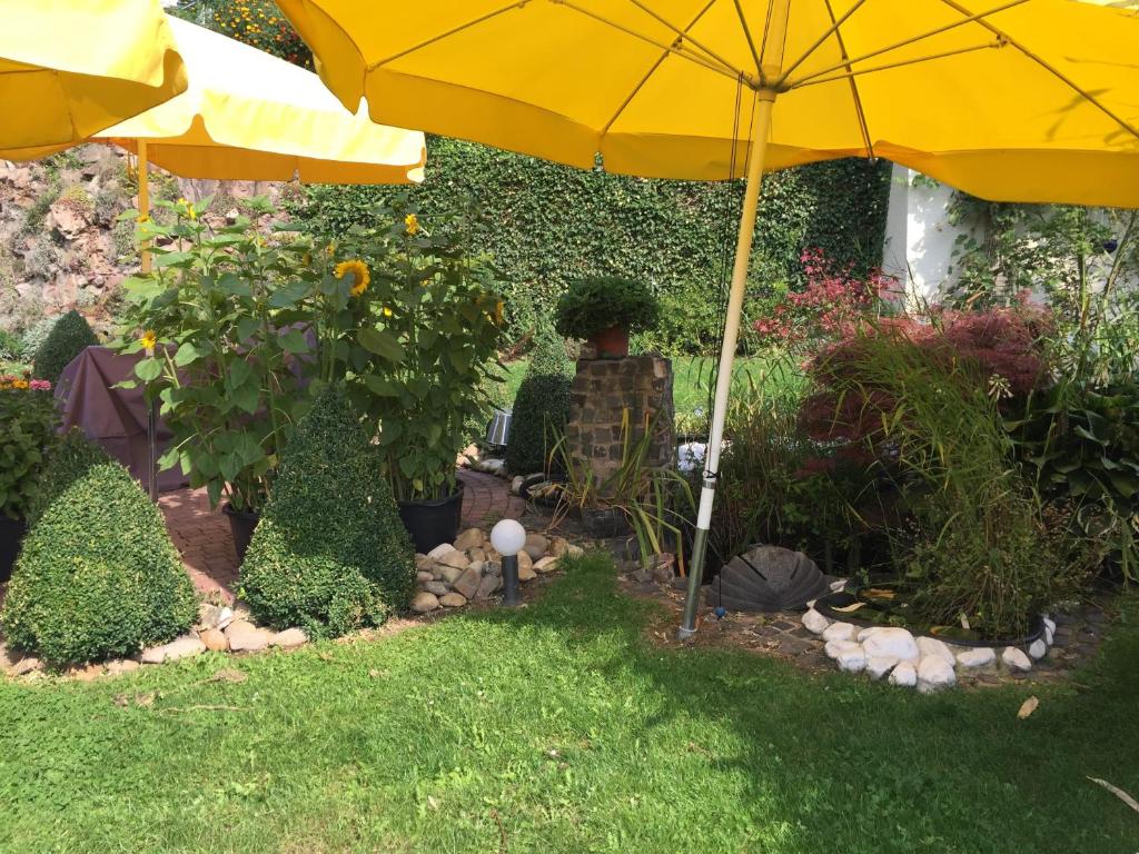 un parasol jaune dans un jardin avec des plantes dans l'établissement pension24 Kassel, à Cassel
