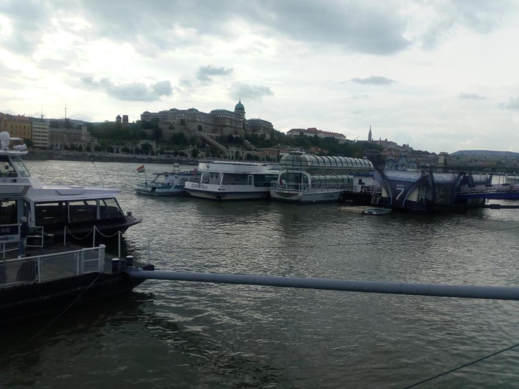 ブダペストにあるブダペスト セントラル アパートメンツの川の桟橋に停泊する船団