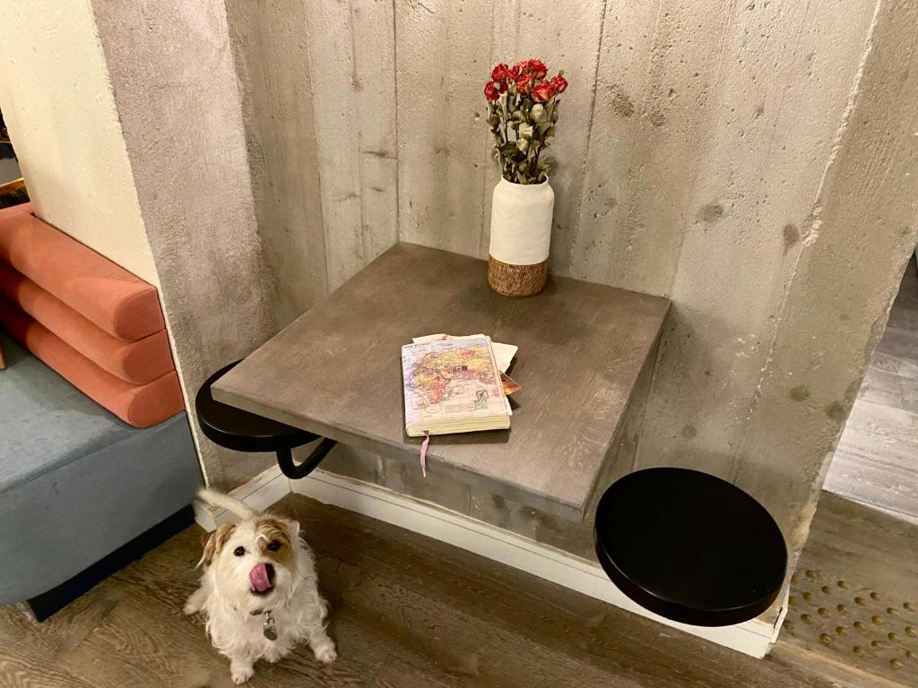 Hotel Bridget - Resim 35