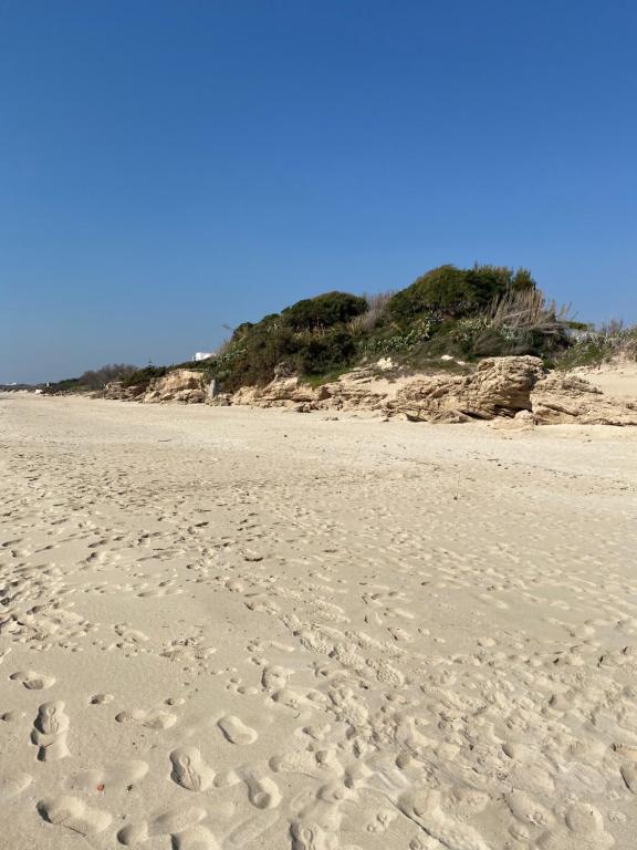 una spiaggia sabbiosa con impronte di piedi sulla sabbia di Pochi passi dal mare a San Pietro in Bevagna