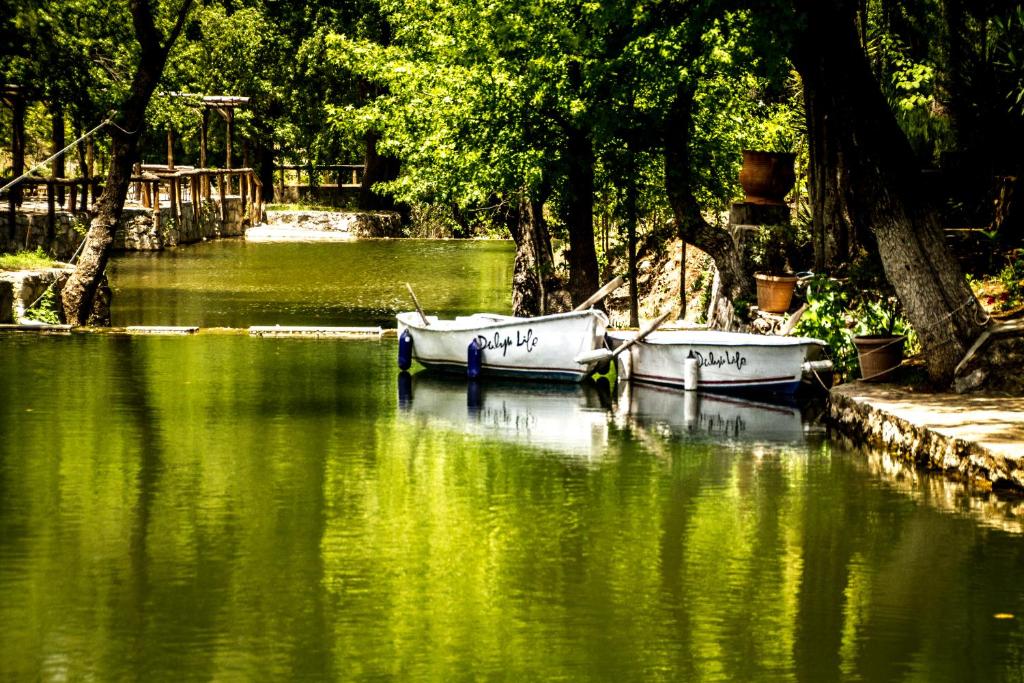 two boats are docked in a river with trees at Dalya Life in Göcek