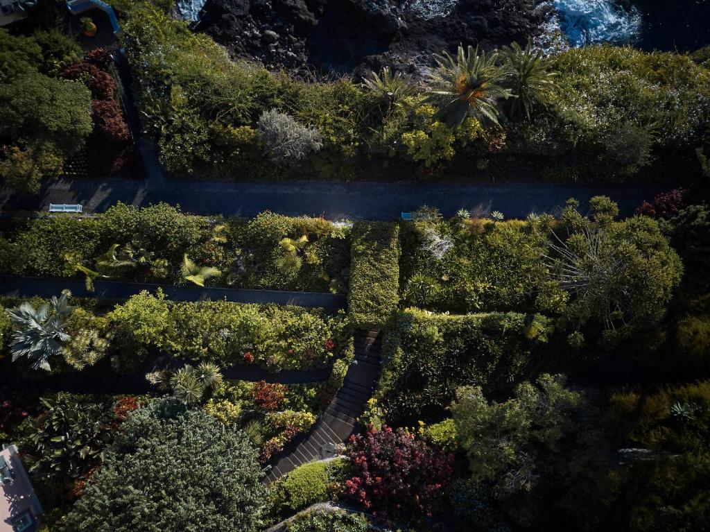 Reid's Palace, A Belmond Hotel, Madeira - Resim 34