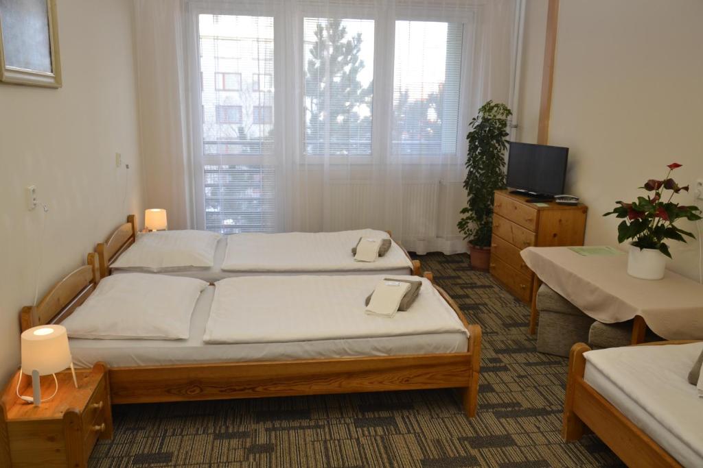 a bedroom with a bed and a tv and a window at Volha in Prague