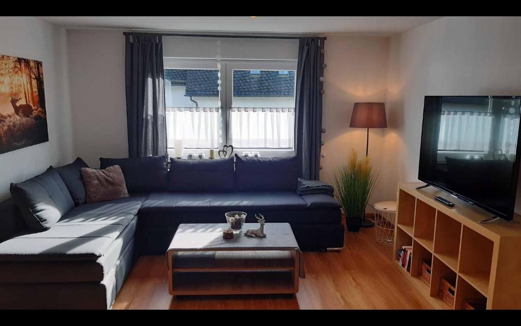 een woonkamer met een blauwe bank en een tv bij Ferienwohnungen Michel in Winterberg
