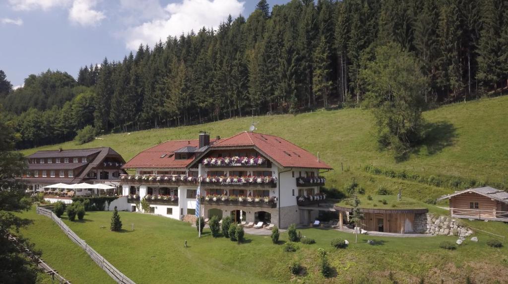 Příroda nedaleko hotelu