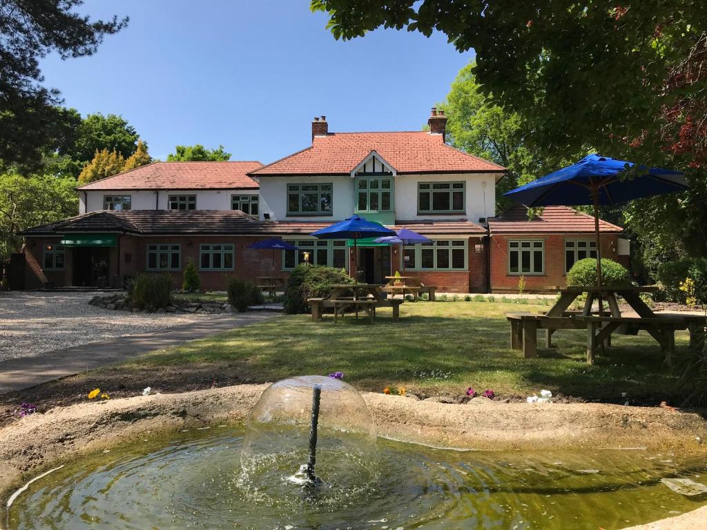 un bagno di uccelli nel cortile di una casa di Le Chateau a Cadnam