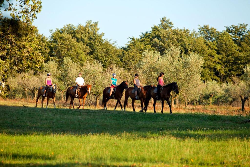 a group of people riding horses in a field at Hotel Istra Plava Laguna in Poreč