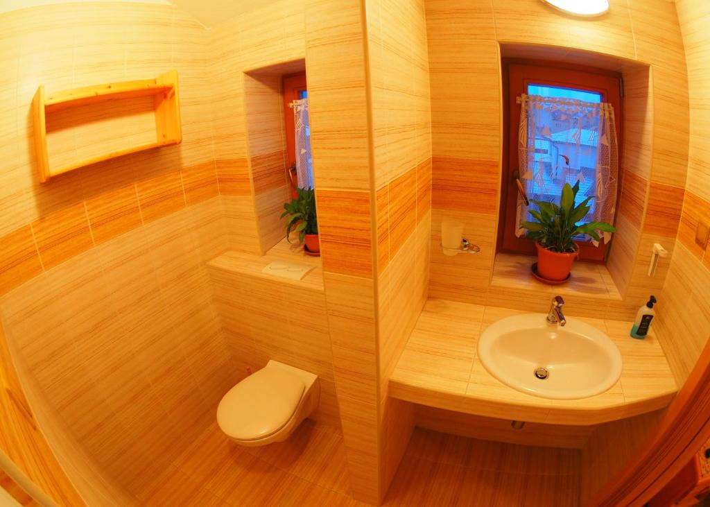 Vannituba majutusasutuses HOTEL BRITANNIA VSETÍN