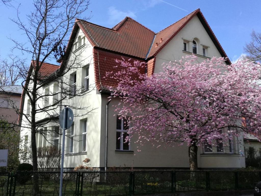 una casa con un albero da fiore di fronte di Stadt-Gut-Hotels - Das Kleine Hotel a Weimar