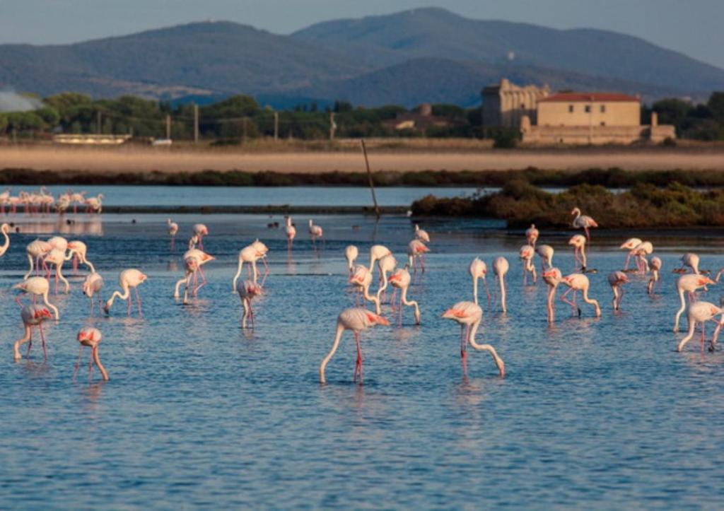 Fotografia z galérie ubytovania Affittacamere orbetello centro v destinácii Orbetello
