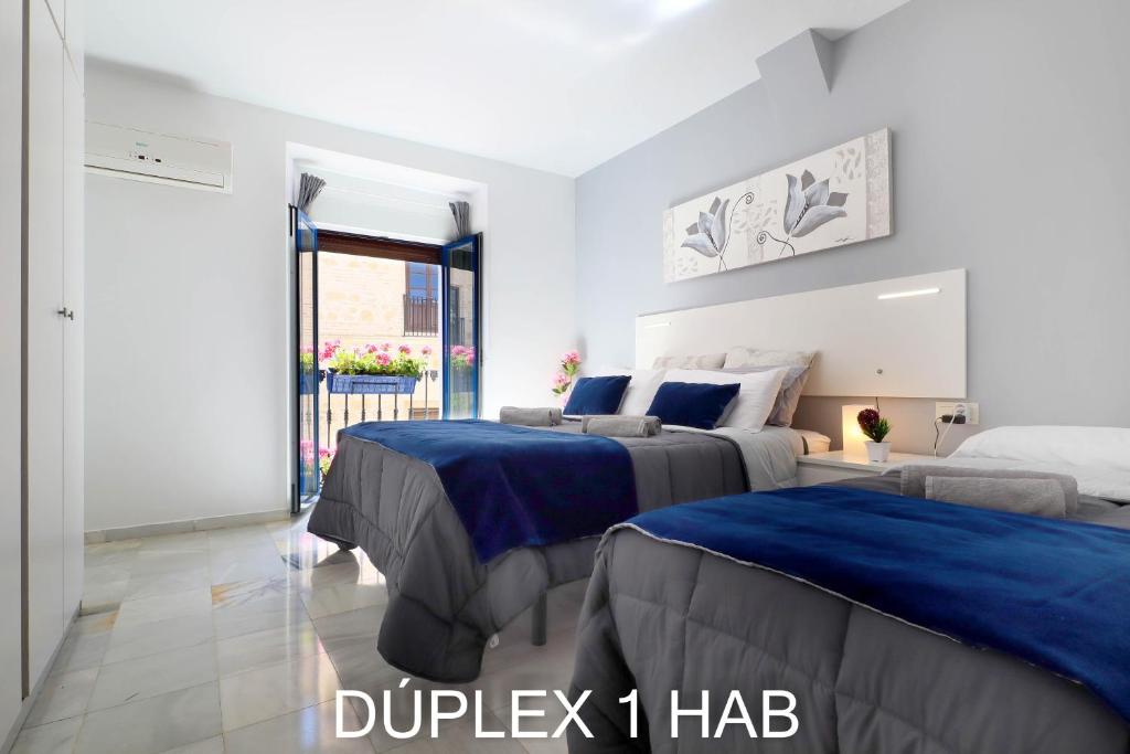 Casas Caballerizas Mezquita 1 y 3 HAB - 3