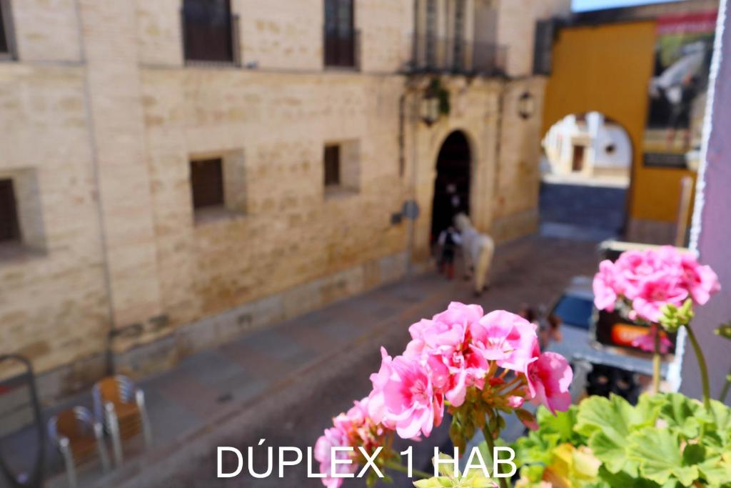 Casas Caballerizas Mezquita 1 y 3 HAB - 17