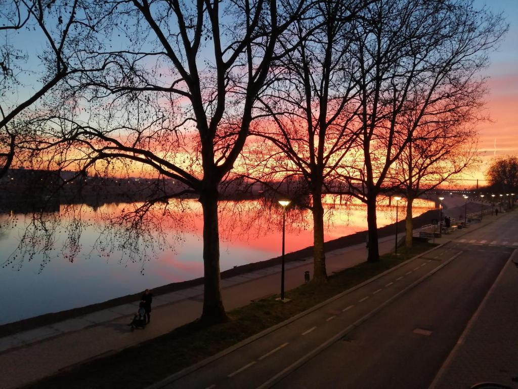 Příroda nedaleko apartmánu