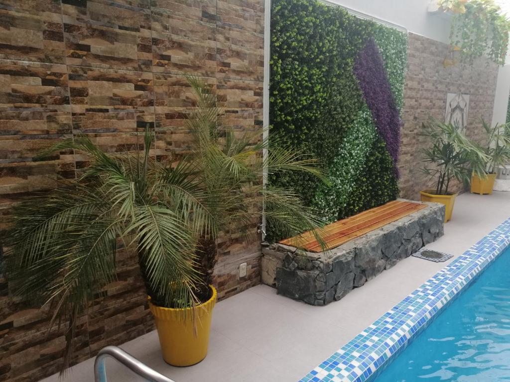 Bazén v ubytování Hostal Perla Real Inn nebo v jeho okolí