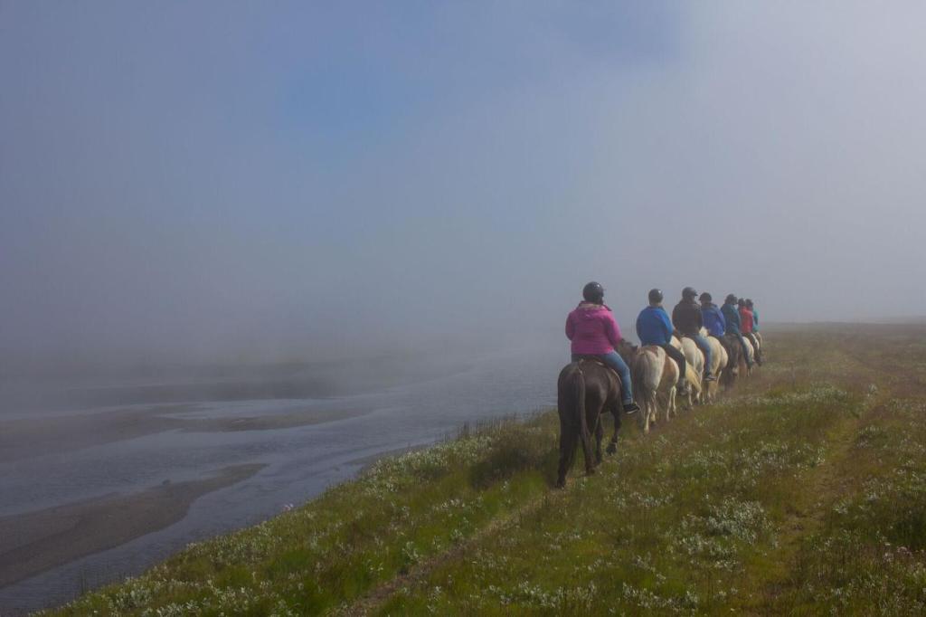 Hosté ubytování Húsey Hostel & Horsefarm