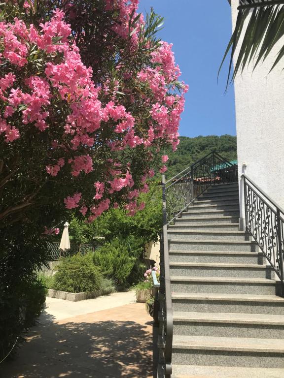 Zahrada ubytování Apartments Rubinić R&B