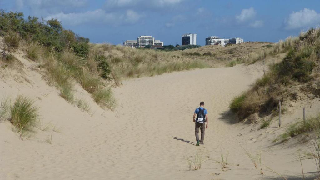 a man walking down a sandy beach at Margaux in De Panne