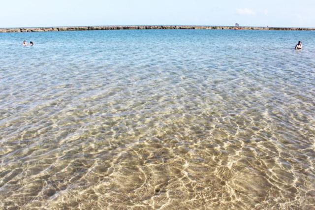  La Fleur de Polinésia - Apartamento com piscina privativa para você desfrutar toda a beleza da Praia de Muro Alto