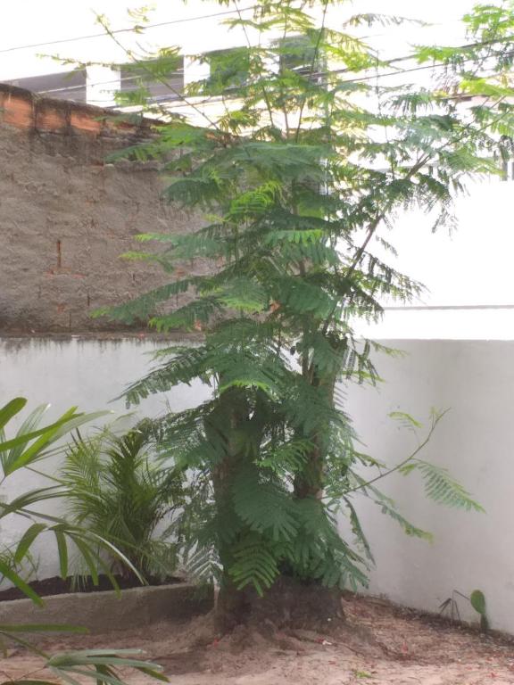 Ano Novo! Aproveite amplo espaço em Casa de Praia para Grupos e Familias