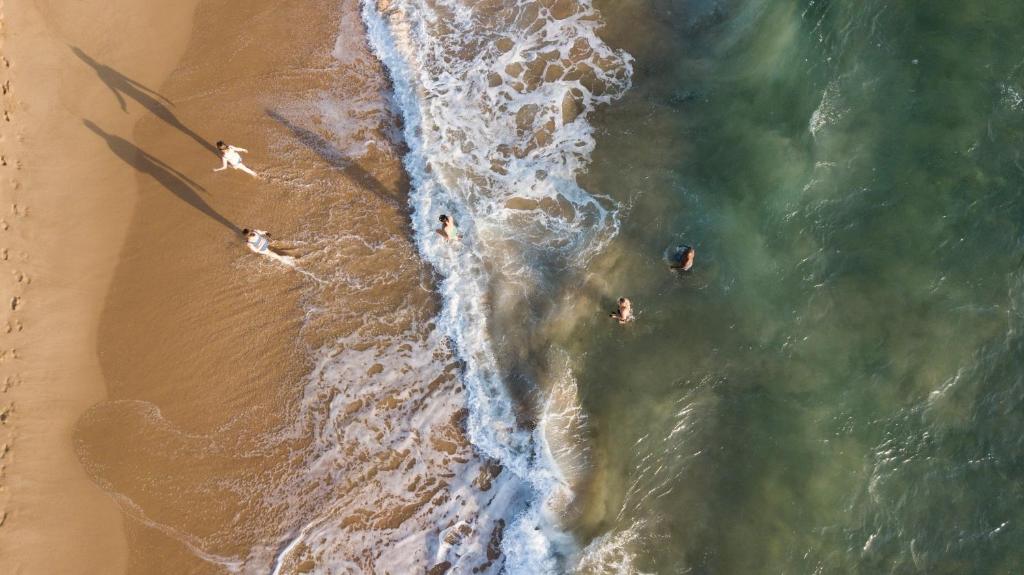an overhead view of people swimming in the ocean at Gugulesizwe Camp in Mabibi