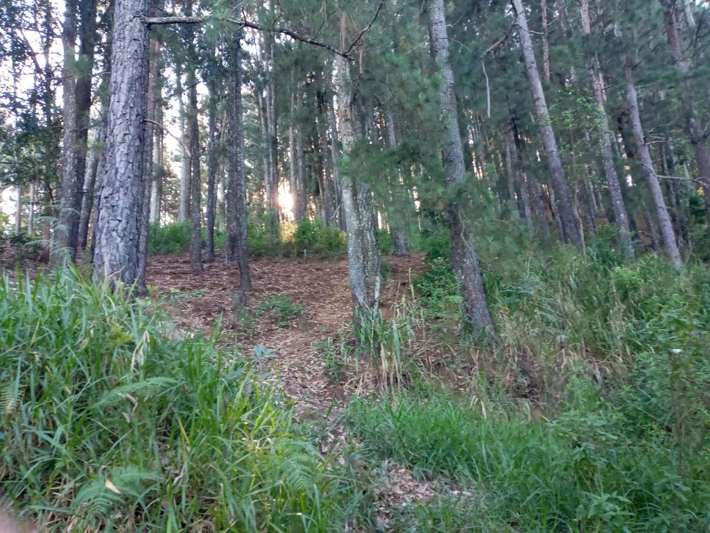 NETHSARA cottage - 3