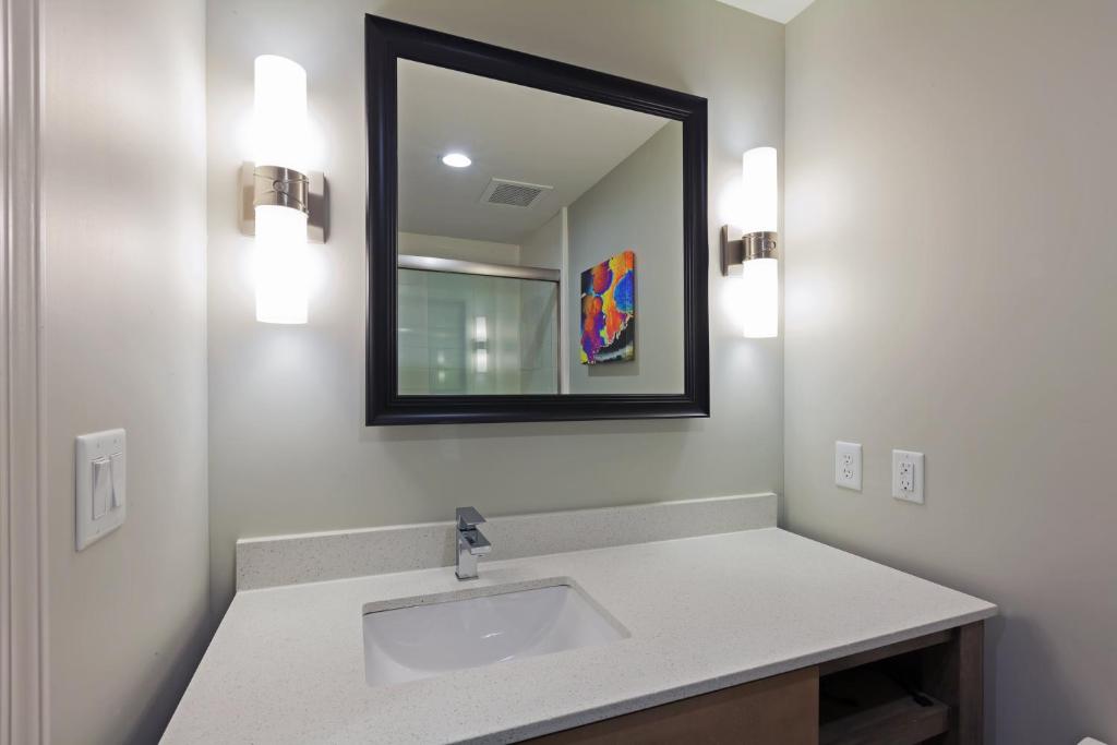 Holiday Inn Houston NE-Bush Airport Area by IHG - Camera King Standard