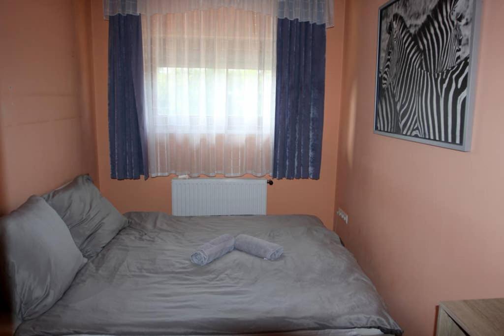 Fotografia z galérie ubytovania Entire Home v Budapešti