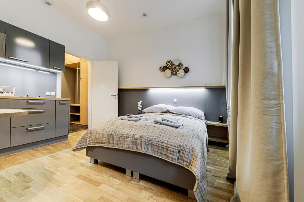 Maison Residence Prague - 豪华双人房