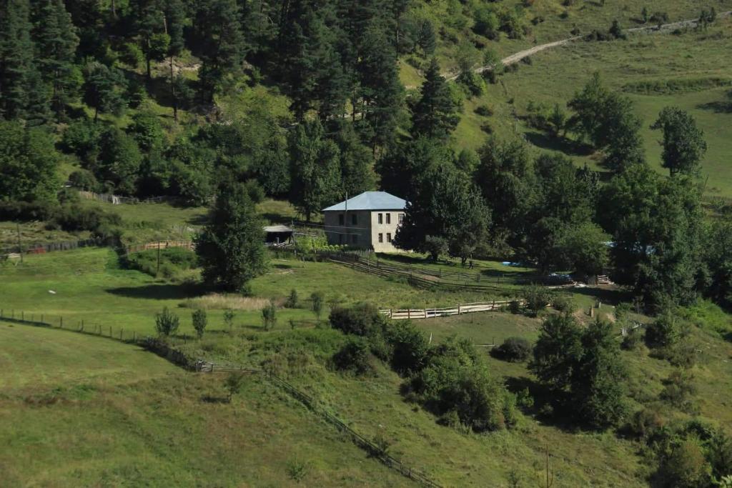a house in the middle of a green field with trees at Rustic Inn "Koba's Sakhli" in Mestia