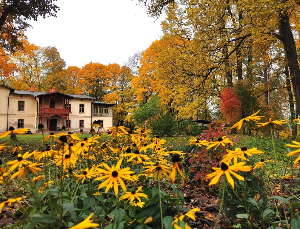 Zahrada ubytování Lielbornes Muiža Boutique Hotel&Recreation Complex