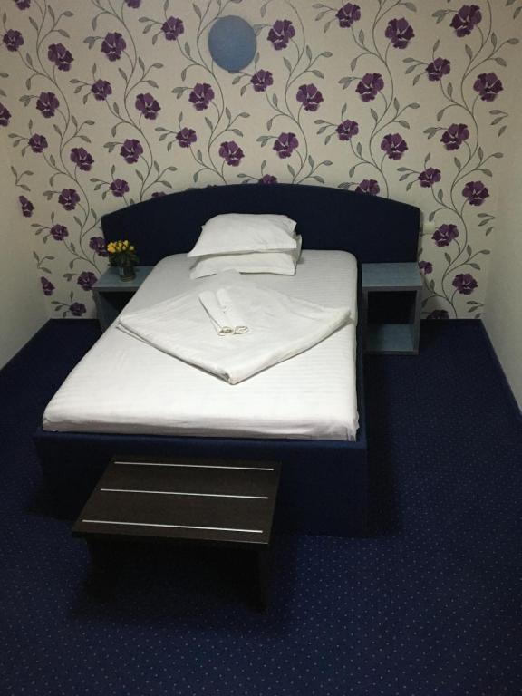 Pension La Viorel Isaila - Double Room